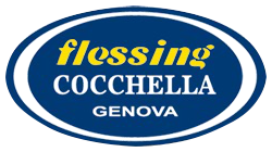 Materassi Flessing | logo